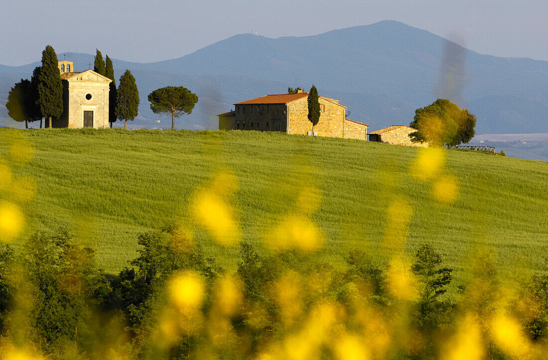 Ein Gehöft und Landschaft bei San Quirico d'Orcia, Siena, Toskana, Italien