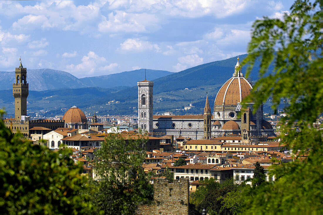 Cityscape of Florence with Cathedral, Santa Maria del Fiore, Florence, Tuscany, Italy