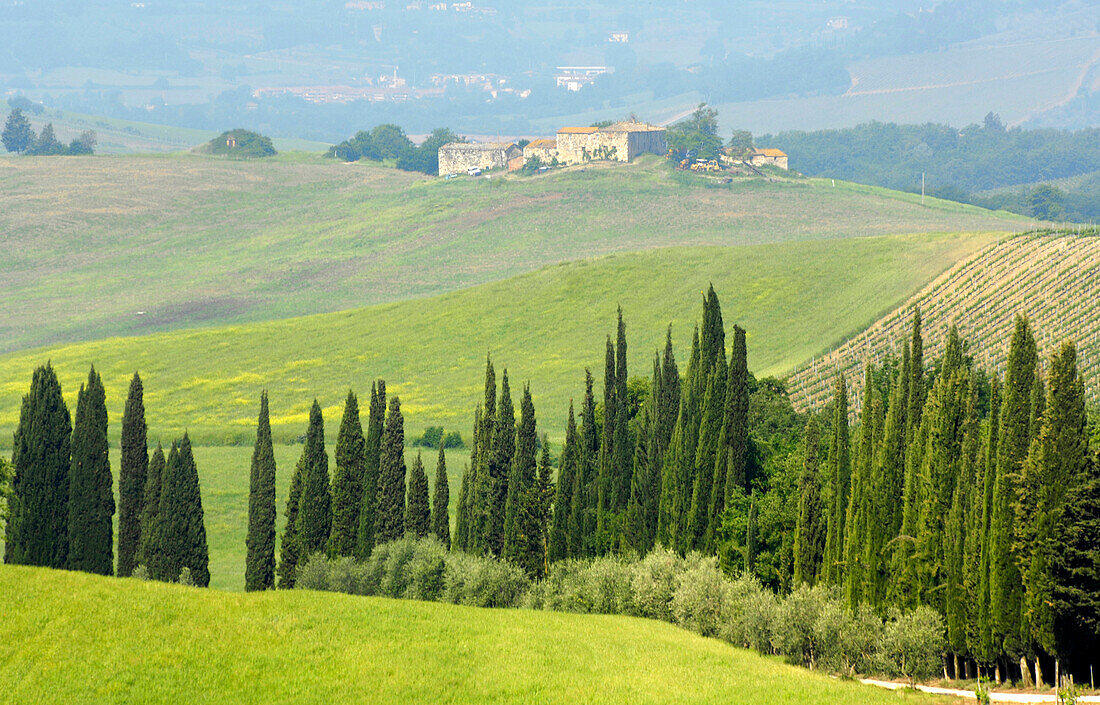 Gehöft mit Zypressen bei San Leonino, Toskana, Italien