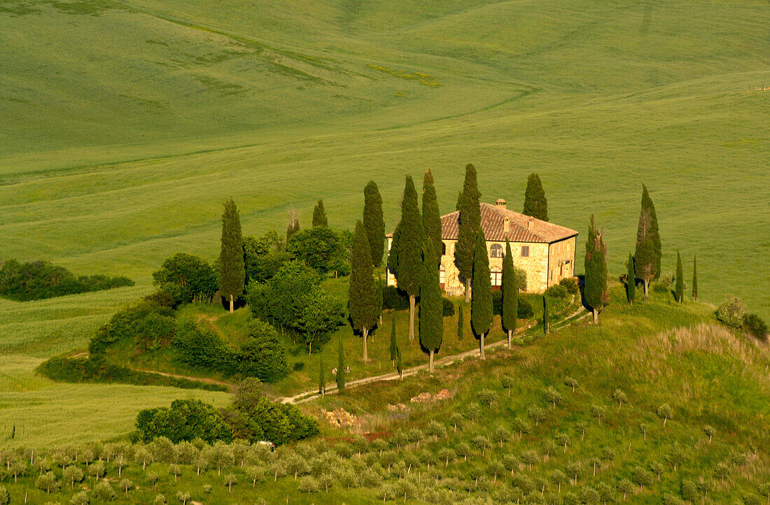 Farm with cypress trees, Crete Senesi, Tuscany, Italy