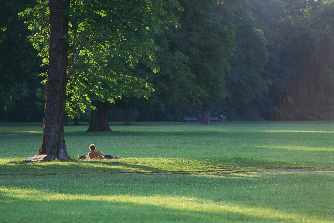 Mann sonnt sich im Englischen Garten, München, Bayern, Deutschland