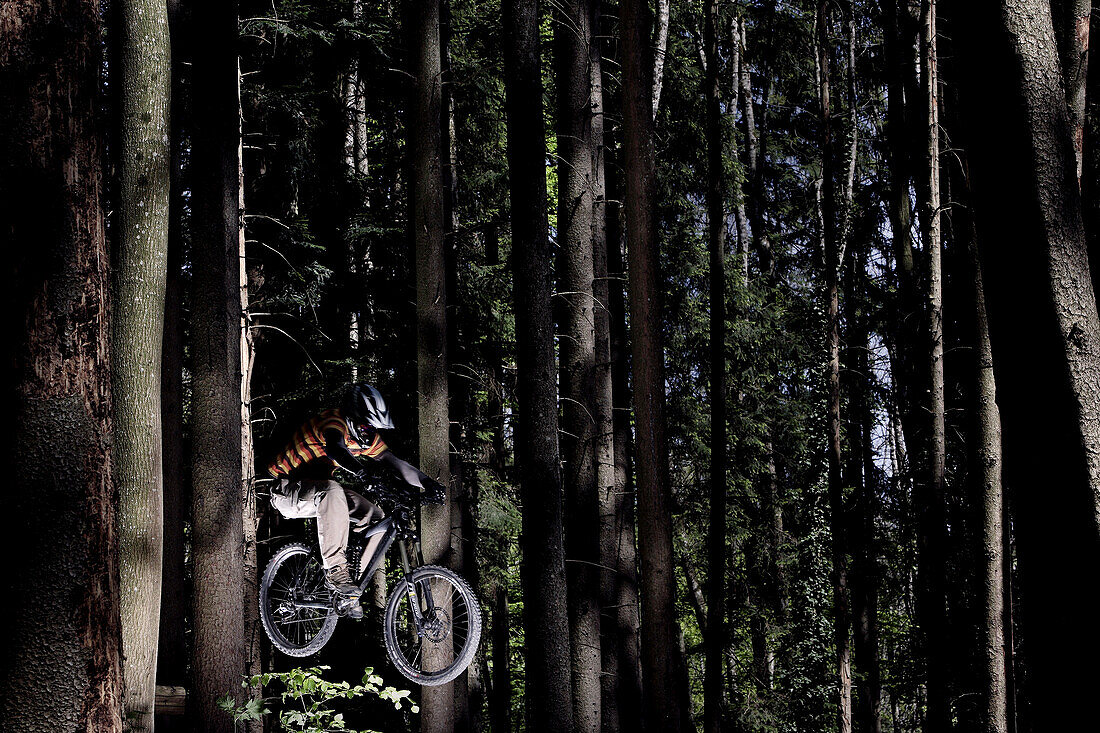 Mountainbiker fährt im Wald, Dillingen, Bayern, Deutschland