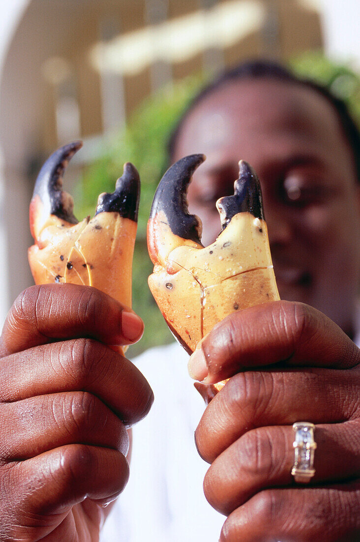 Chef with claws of stone crabs, Restaurant Joe's Stone Crab, South Beach, Miami, Florida, USA