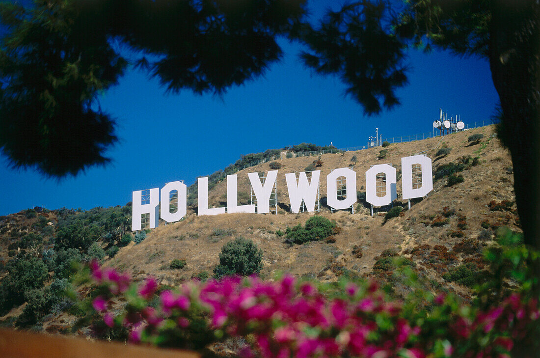 Hollywood Sign, Hollywood, L.A., Los Angeles, California, USA