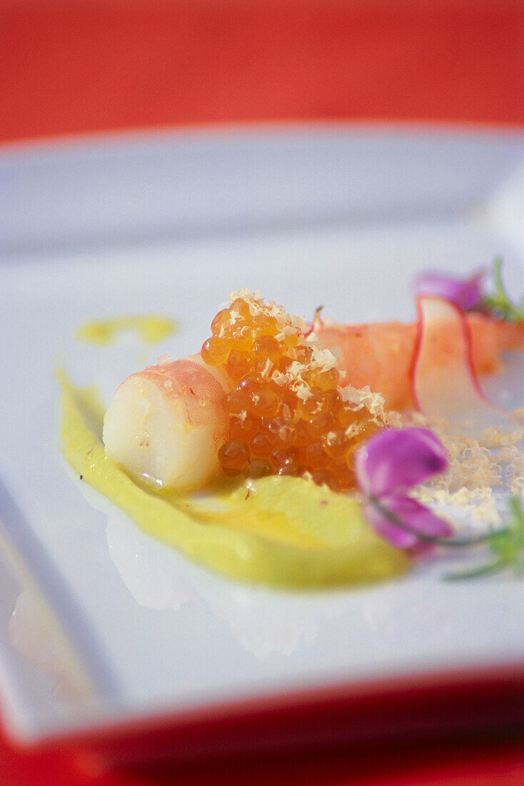 Key West Garnele mit Zitronen Avocado und Hasenuss Creme, Restaurant Brana, Coral Gables, Miami, Florida, USA