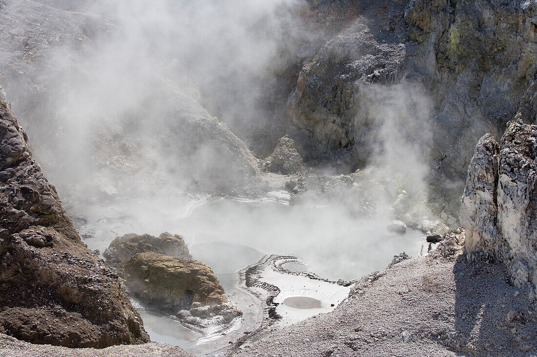 Steam and Boiling Mud in Bird's Nest Crater, Wai-O-Tapu Thermal Wonderland, Waiotapu, near Rotorua, North Island, New Zealand