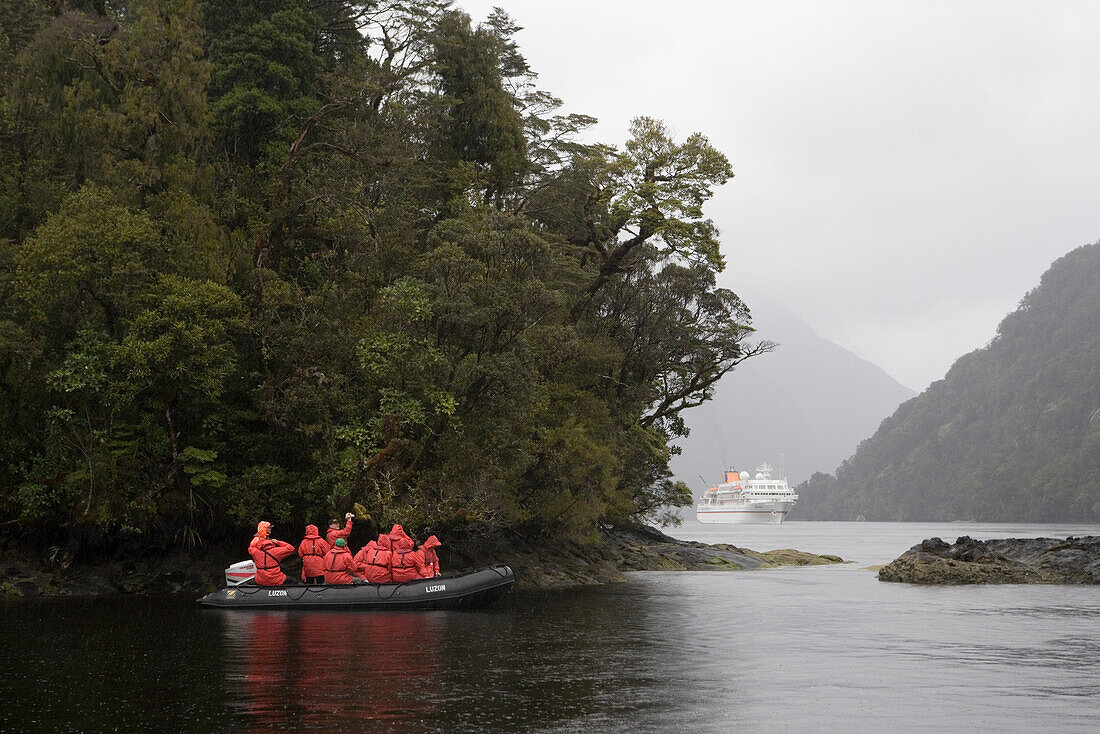 MS Bremen Zodiac Excursion, Doubtful Sound, Fiordland National Park, South Island, New Zealand