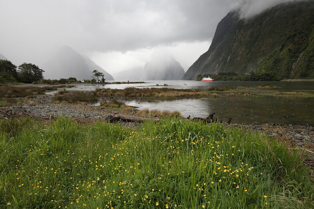 Fog at Milford Sound, Fiordland National Park, South Island, New Zealand