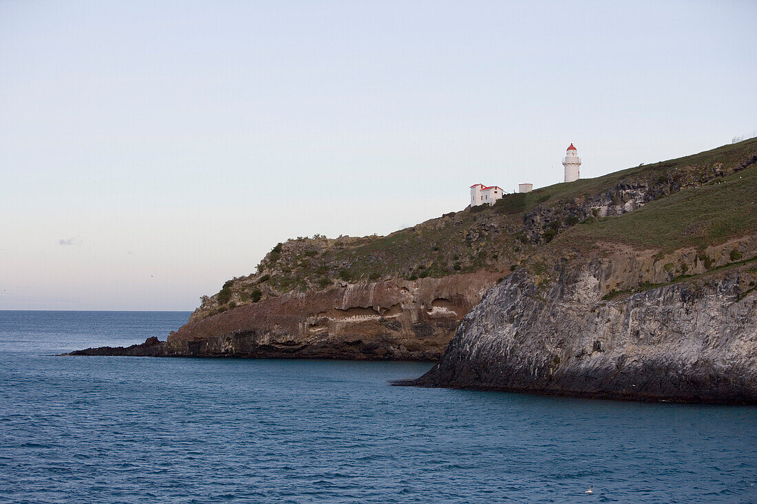 Taiaroa Head Leuchtturm auf Otago Peninsula, nahe Dunedin, Otago, Südinsel, Neuseeland