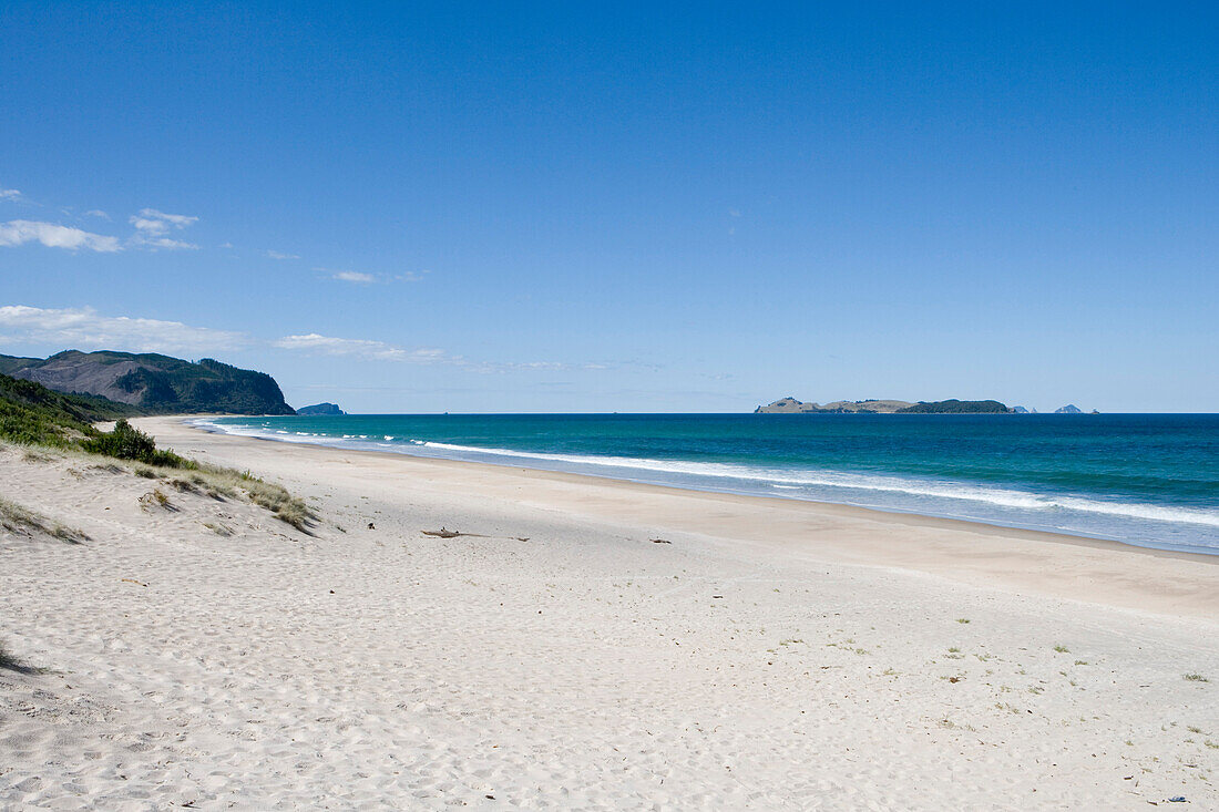 Strand von Opoutere auf der Coromandel Peninsula, Nordinsel, Neuseeland