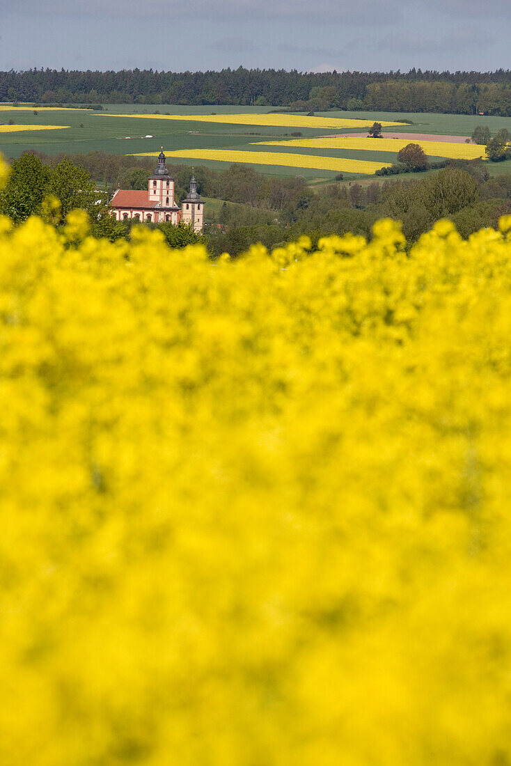 Blühendes Rapsfeld und Kirchen, Burghaun, Rhön, Hessen, Deutschland, Europa