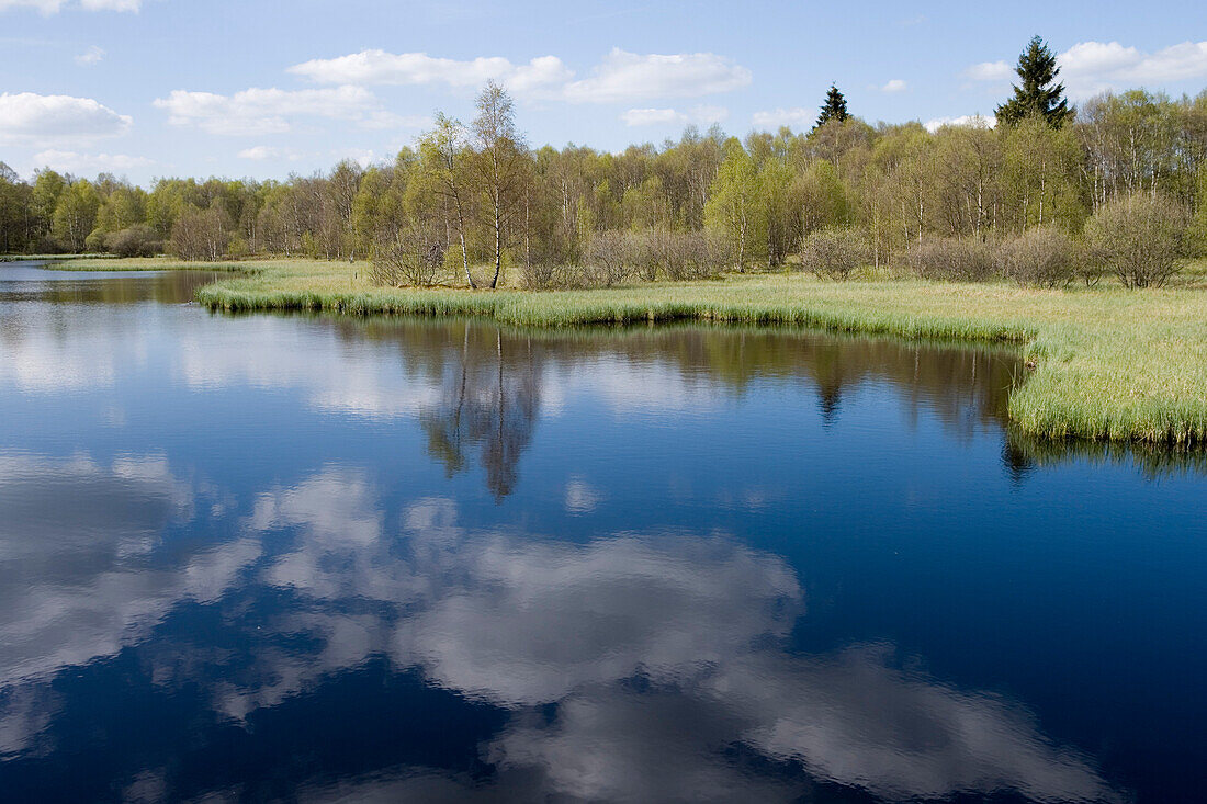 Rotes Moor mit See, nahe Gersfeld, Rhön, Hessen, Deutschland, Europa