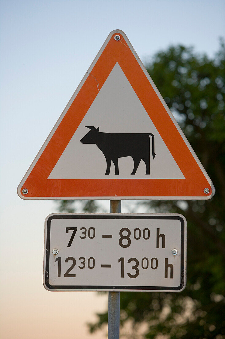Cow Crossing Warning Sign, Bettenhausen, Rhoen, Thuringia, Germany