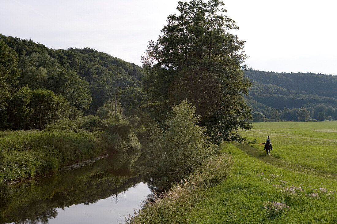 Horseback rider riding along the river Fraenkische Saale, near Bad Kissingen, Rhoen, Bavaria, Germany