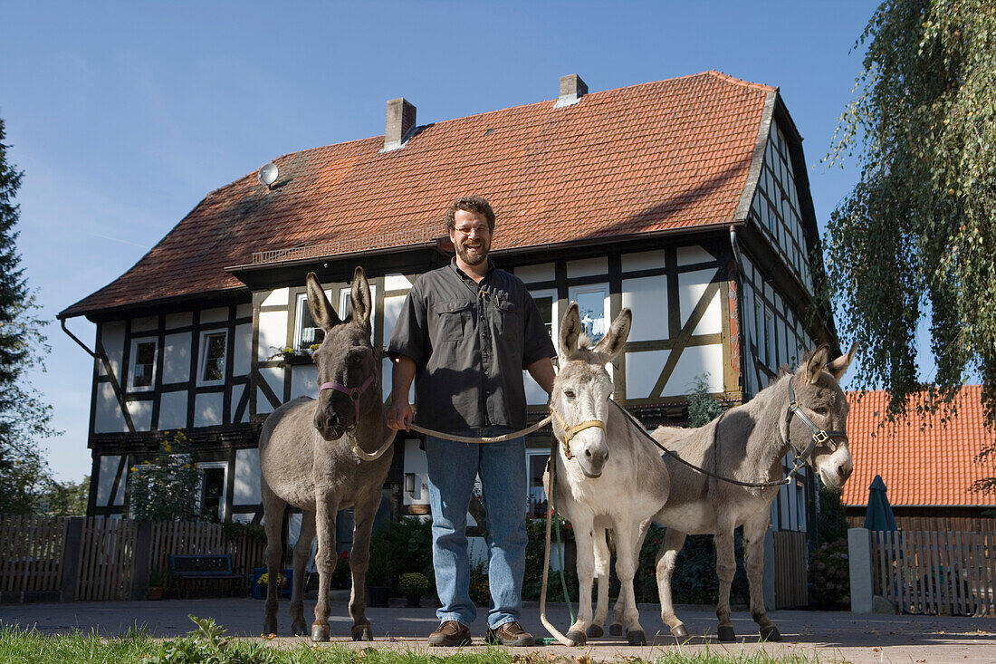 Mann mit Drei Eseln vor Fachwerkhaus, Haunetal Neukirchen, Rhön, Hessen, Deutschland, Europa