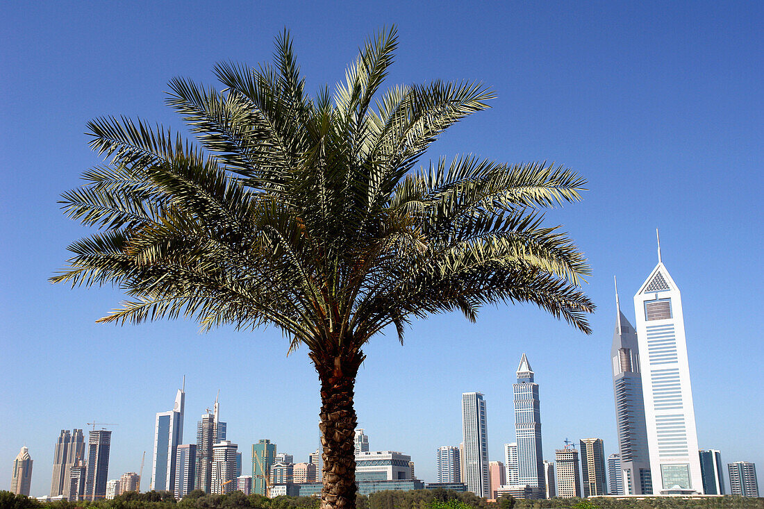 Skyline Sheikh Zayed Road, Dubai, United Arab Emirates, UAE