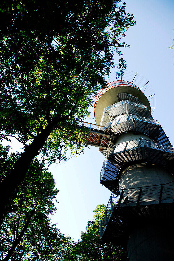 Treetop walkway and tower, Hainich, Thuringia, Germany