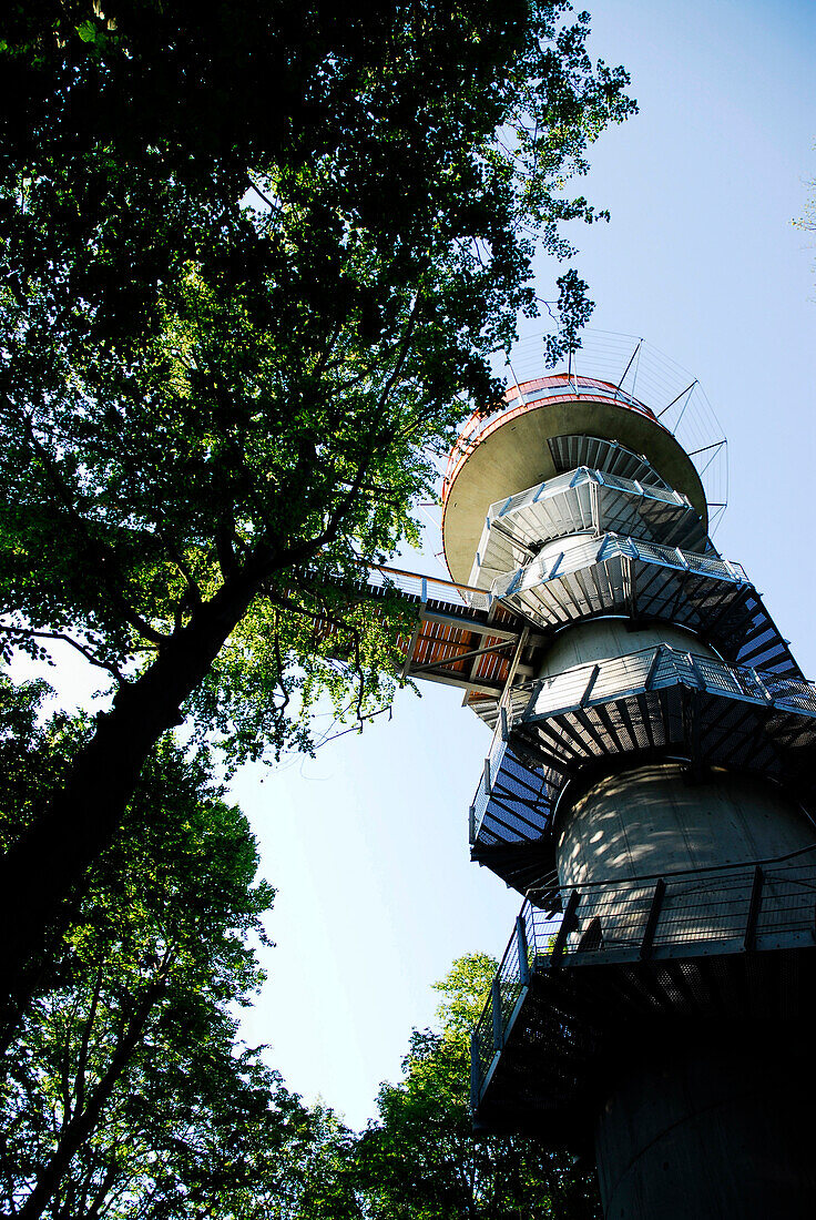 Turm und Baumkronenpfad, Hainich, Thüringen, Deutschland