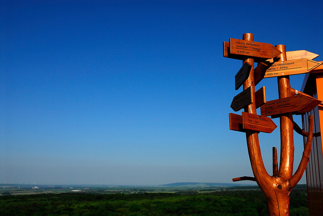Wooden finger board, view over Hainich, Thuringia, Germany