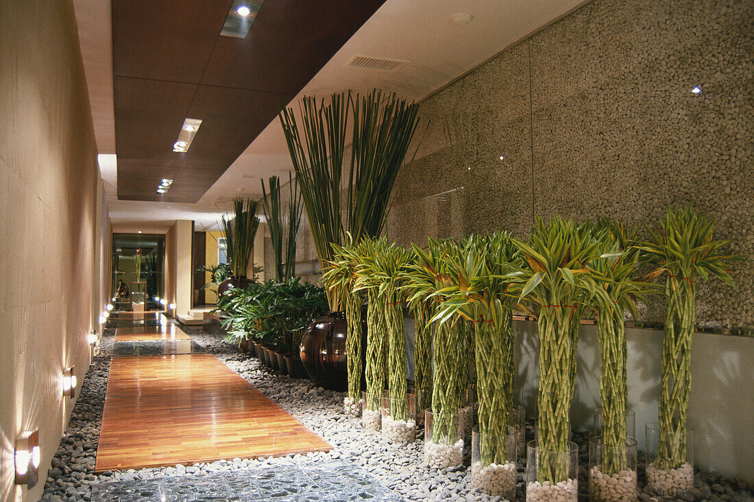 The corridor inside Hotel Banyan Tree Spa with plants, Bangkok, Thailand