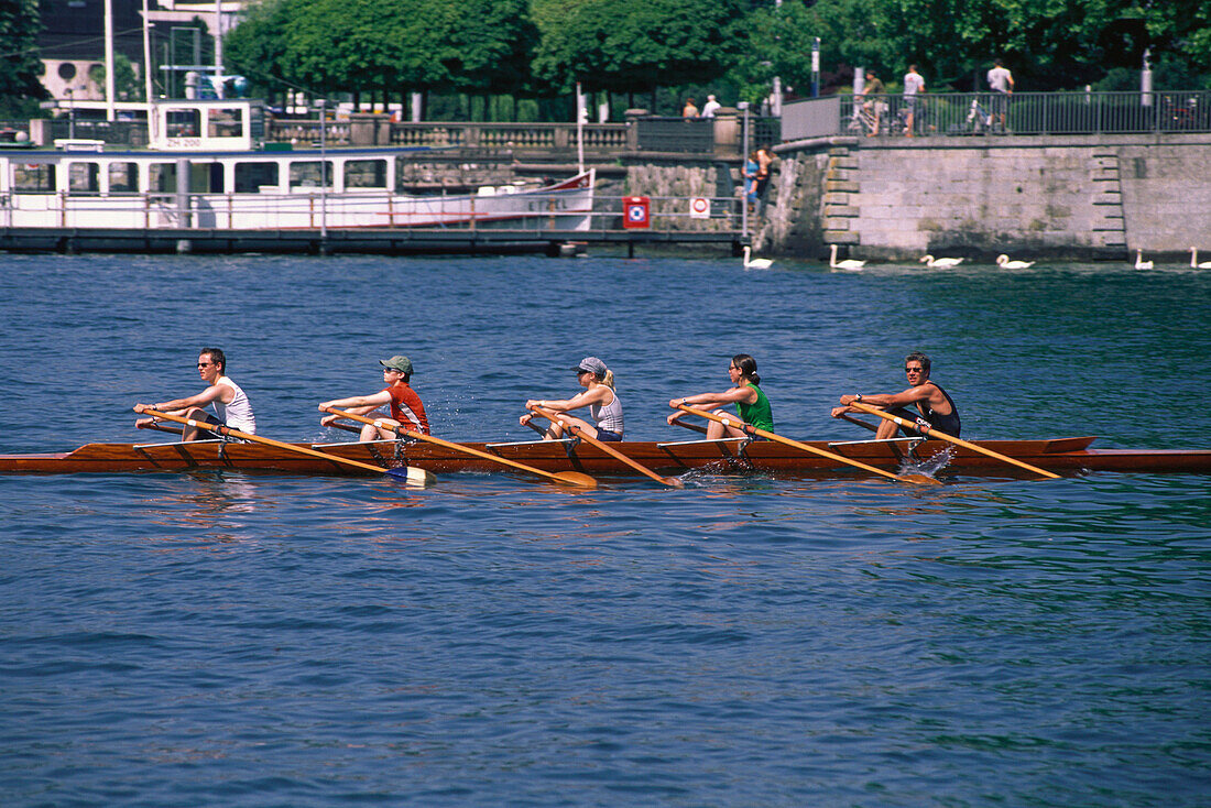 People in a rowing boat on Lake Zurich, Sport, Zurich, Switzerland