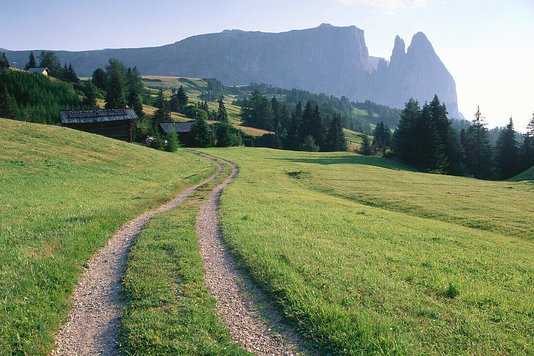 Road on Alpe di Siusi, Sciliar in background, Trentino-Alto Adige/Südtirol, Italy