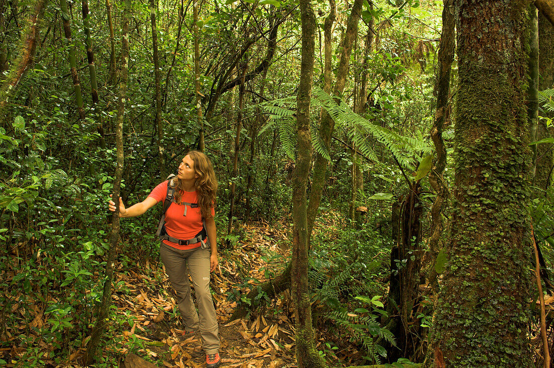 Eine Frau wandert durch einen Wald, Madagaskar, Afrika