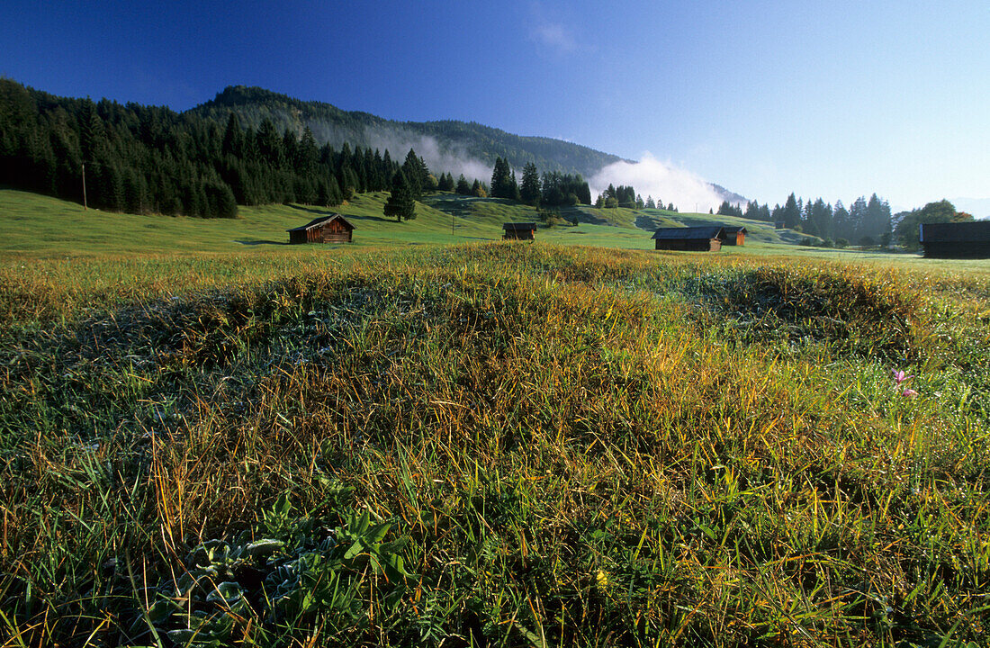 Heustadel und Buckelwiesen von Klais, Garmisch-Partenkirchen, Oberbayern, Bayern, Deutschland