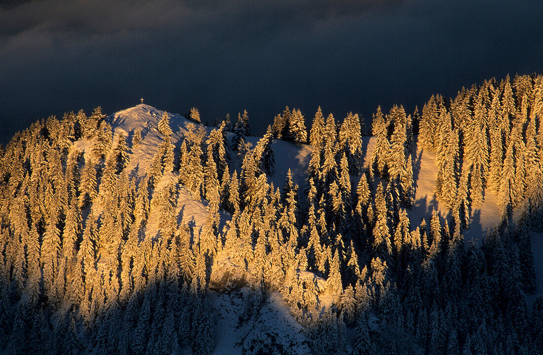 Gipfelkreuz mit Winterwald im Morgenlicht, Wendelstein, Oberbayern, Bayern, Deutschland