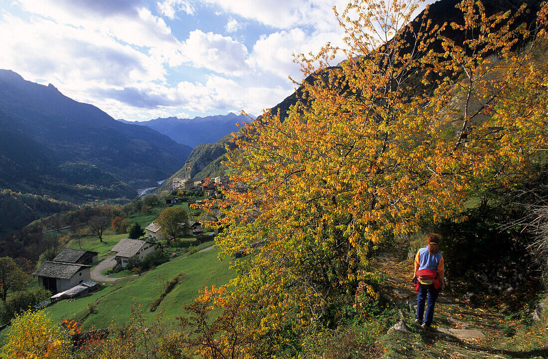 Hiker on footpath Sentiero Panoramico with trees in autumn colours and village of Soglio in background, Grisons, Switzerland