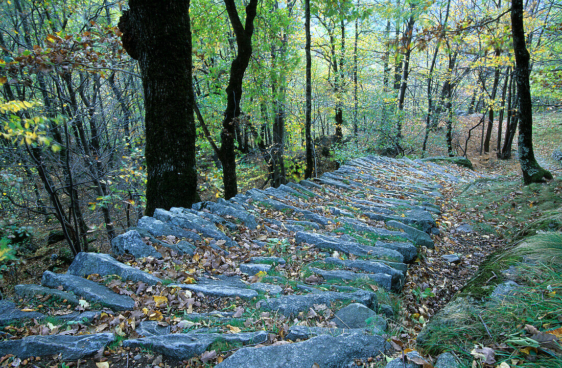 stone stairs at Monti di Chiavenna, Bergell, Italy