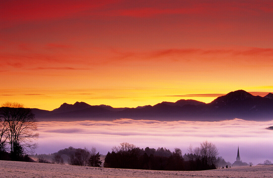 Nebelmeer über Chiemsee, Chiemgauer Alpen im Hintergrund, Chiemgau, Oberbauern, Bayern, Deutschland