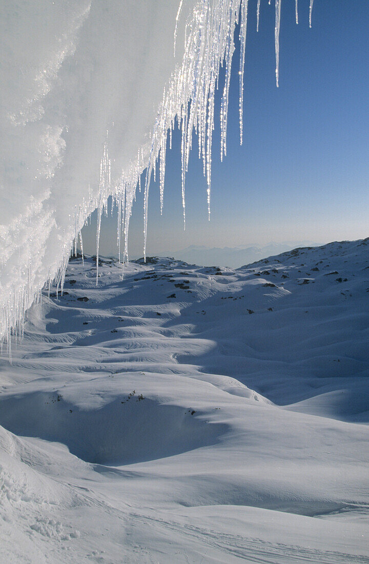 Eiszapfen an einer Wechte über den weiten Schneeflächen des Hagengebirges, Berchtesgadener Alpen, Oberbayern, Bayern, Deutschland