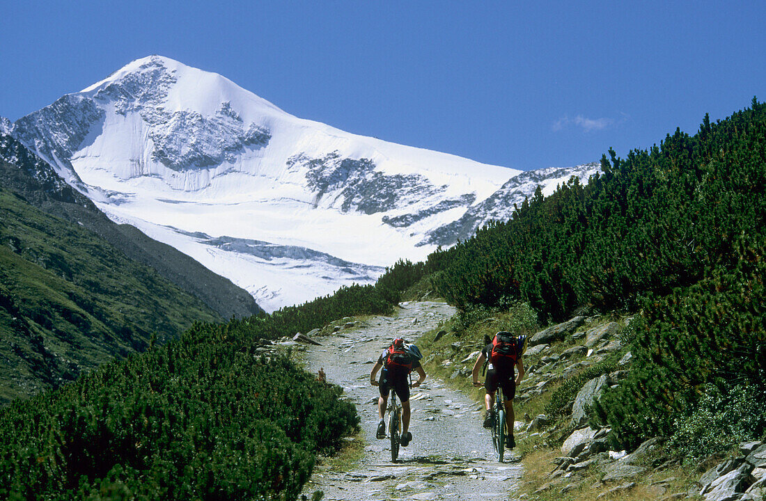 Two mountain bikers riding uphill, mount Similaun in background, Otztal Alps, Tyrol, Austria