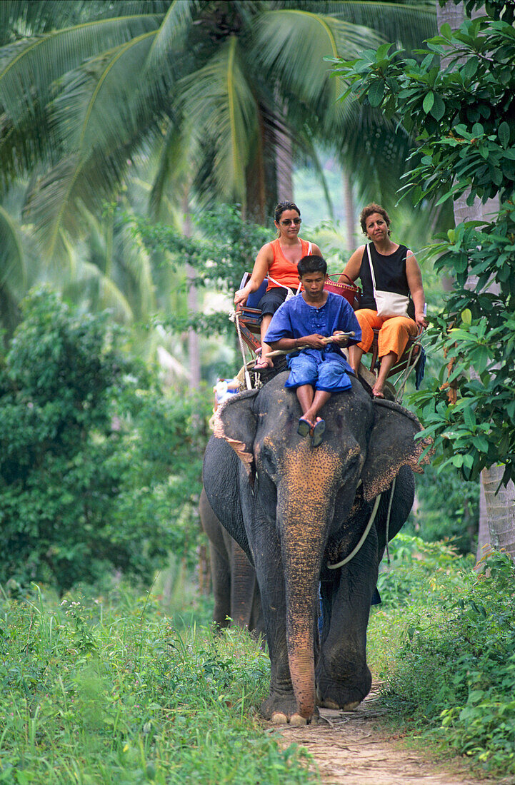 Elephant ride in Ban Durian, Koh Samui, Thailand
