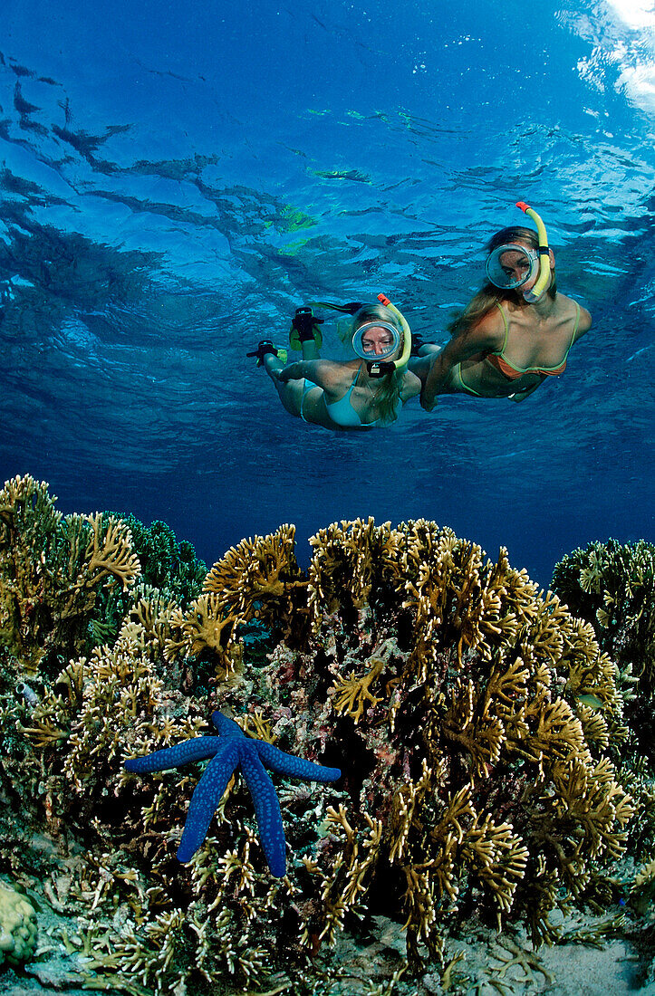 Two snorkeling girls, Bali, Indian Ocean, Indonesia