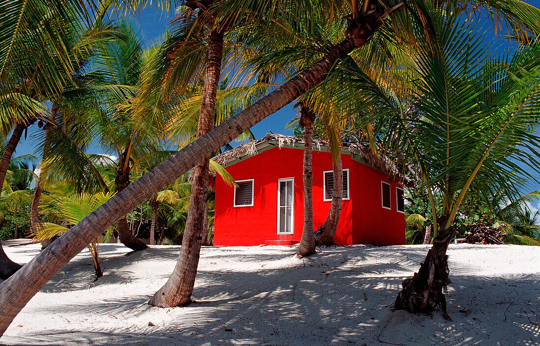 Farbenpraechtiges Chalet am Strand, Dominikanische Republik, Catalina Insel, Karibik