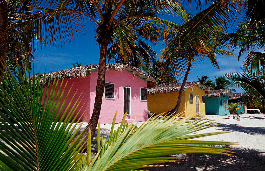 Farbenpraechtiges Chalet am Strand, Catalina Insel, Karibik, Dominikanische Republik