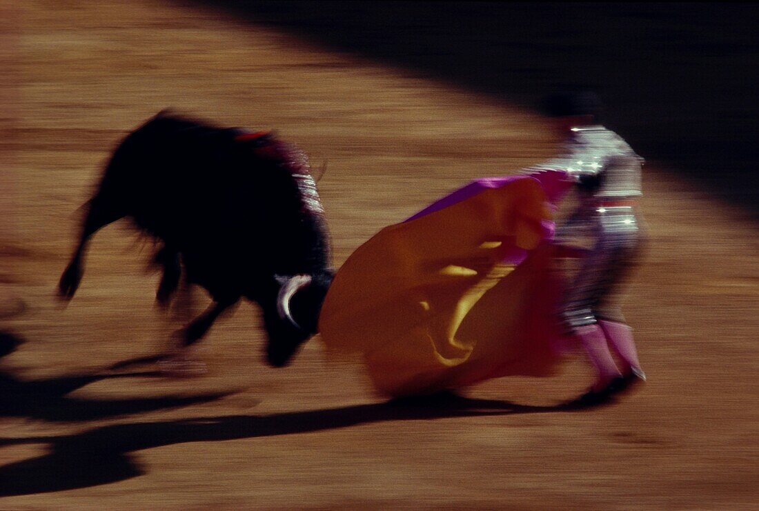 Bullfight, Seville, Spain