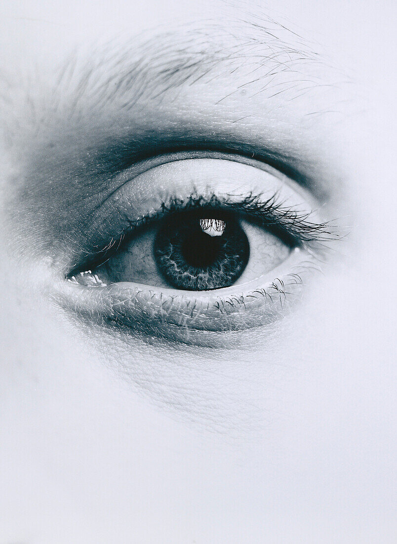 Close-up eines weiblichen Auges