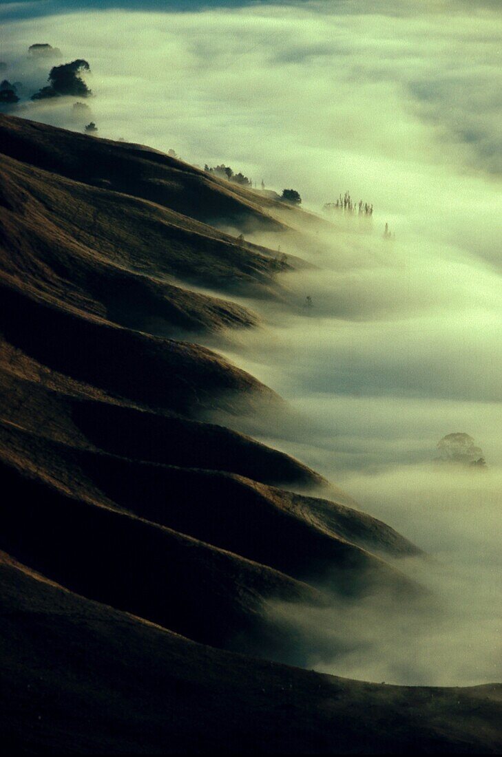 Tukituki Valley, Nordinsel, Neuseeland