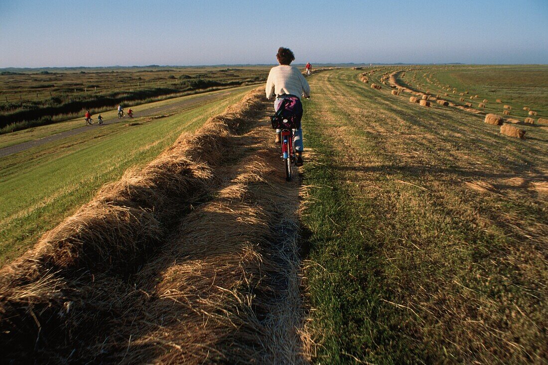 Cyclist on Borkum, Lower Saxony, East Frisian Islands, Germany