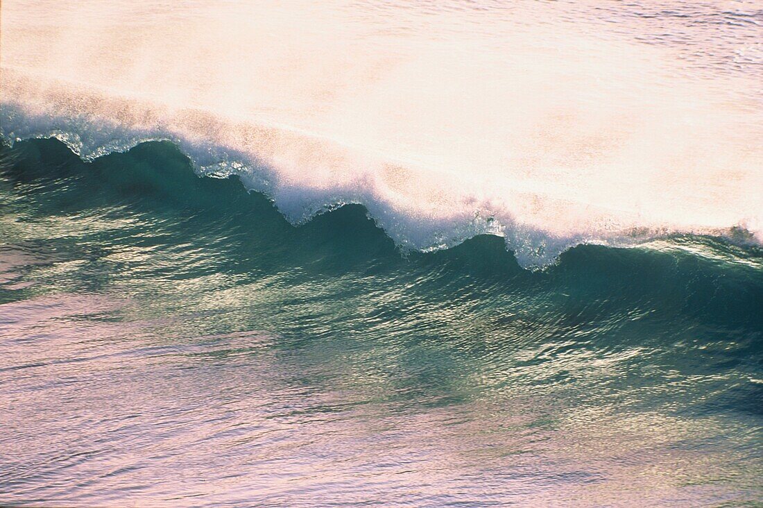 Perfect wave, Fuerteventura, Canary Islands, Spain