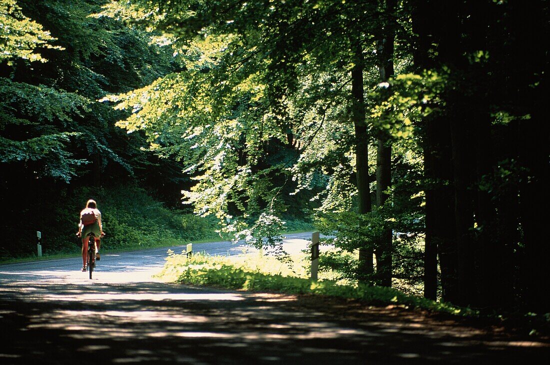 Cyclist near Buchenwald, Ruegen, Mecklenburg-Western Pomerania, Germany