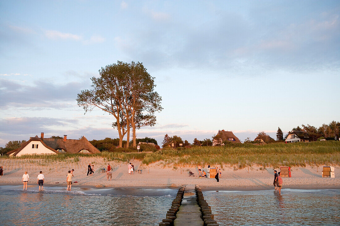 View over sandy beach with thatched house, Ahrenshoop, Fischland-Darß-Zingst, Mecklenburg-Western Pomerania, Germany