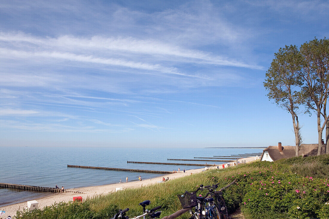 Blick über Sandstand mit Reetdachhaus, Ahrenshoop, Fischland-Darß-Zingst, Mecklenburg-Vorpommern, Deutschland