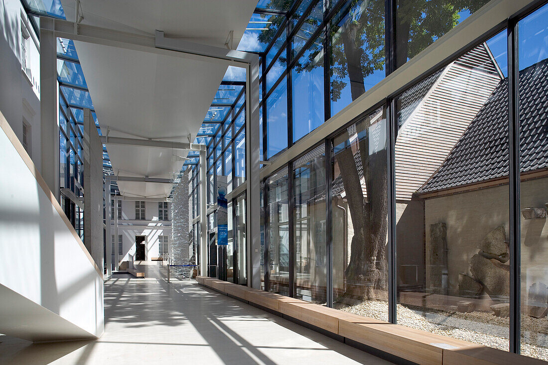 Foyer, Pommersches Landesmuseum, Greifswald, Ostsee, Mecklenburg-Vorpommern, Deutschland