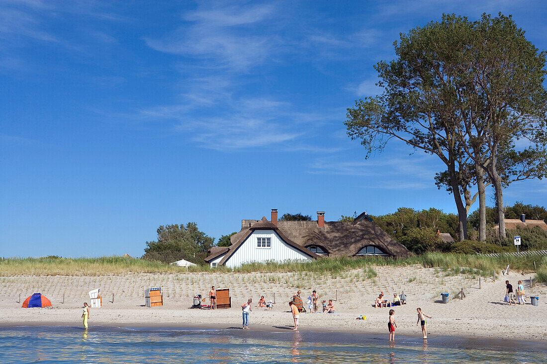 Blick über Sandstand mit Reetdachhaus, Ahrenshoop, Fischland-Darß-Zingst, Mecklenburg-Vorpommern, Deutschland