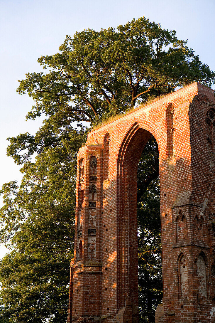 Monastery ruin Eldena, Greifswald, Mecklenburg-Western Pomerania, Germany