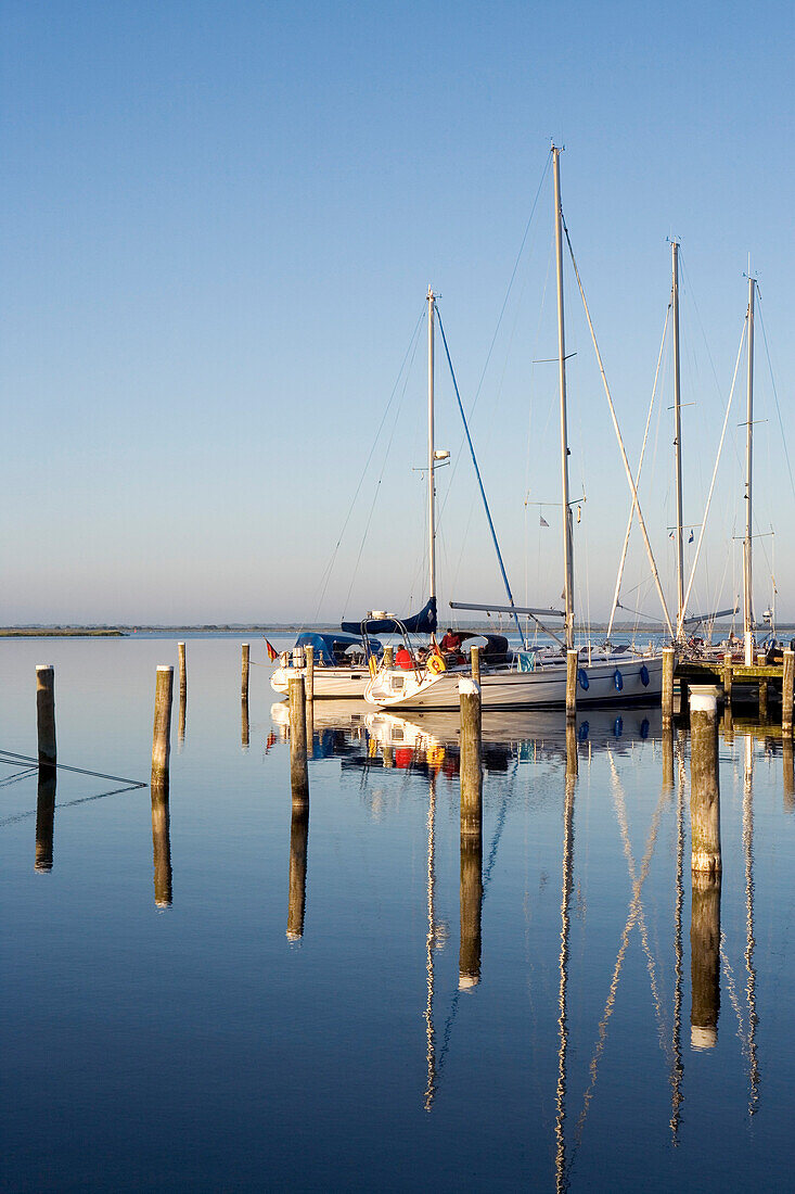 Boats in marina, Vitte, Hiddensee island, Mecklenburg-Western Pomerania, Germany